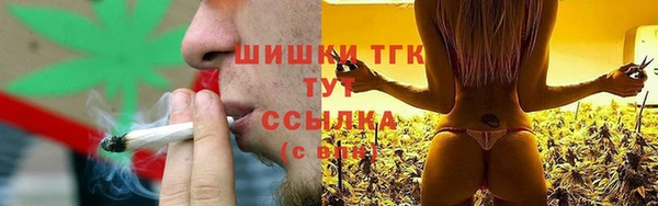амф Козельск