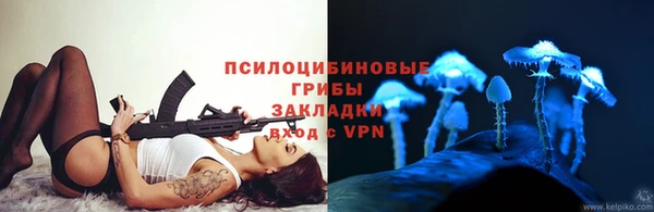 марки nbome Козловка
