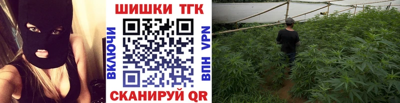 Купить где Высоцк Каннабис сатива